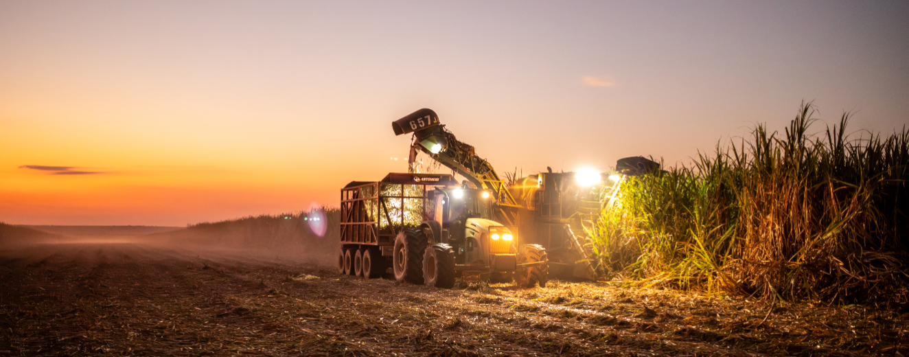 Soluções para operações agrícolas: melhoria do solo, matéria-prima sustentável e manutenção dos negócios