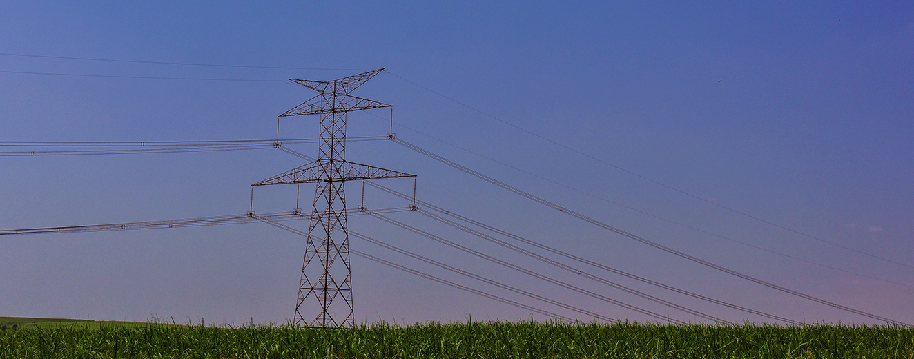 Bioeletricidade: A Revolução Energética