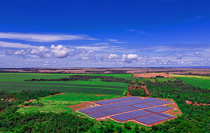 Crédito de Carbono: Como Funciona e Seus Impactos