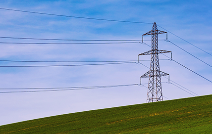 Energia a partir da biomassa: entenda o que é e para que serve!