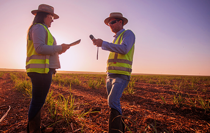 Produtividade Agrícola: Estratégias Eficientes